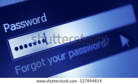Password box  in Internet Browser on Computer Screen