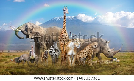 Large group of African wildlife animals in a magical bream scene with snow-capped Mt Kilimanjaro in background and rainbow overhead