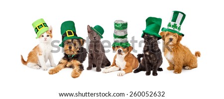 A large group of young kittens and puppies together wearing green St. Patrick\'s Day hats