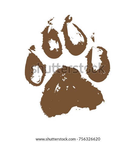 Dogs Paw Prints Mud Dogs Paw Prints Mud