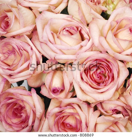 wedding bouquet of Italian roses