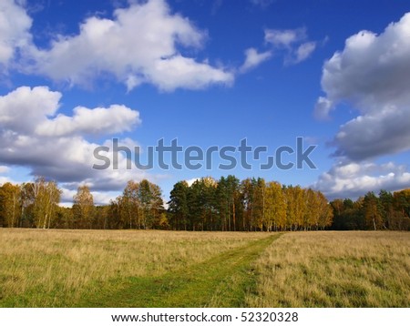 The autumn nature. The rural road coiling on a field by an autumn wood withdraws us afar.
