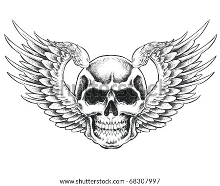 Skull With Wings Vector Illustration - 68307997 : Shutterstock