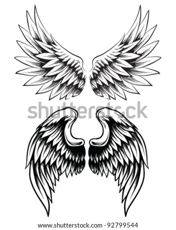 Hand Drawn Wing Set Stock Vector Illustration 92799544 : Shutterstock