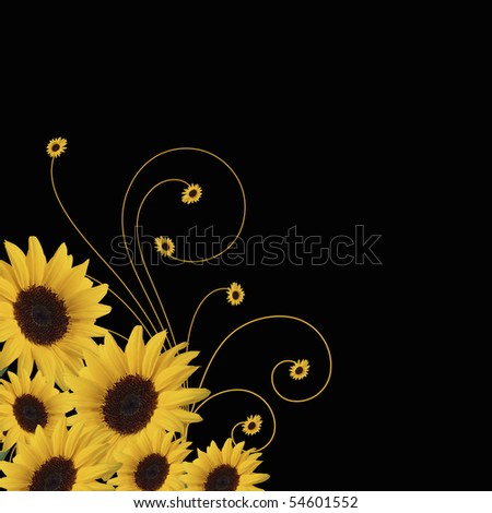 sunflower border with swirls and sunflowers isolated on black background