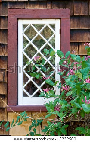 Rustic cabin window on shingle wall
