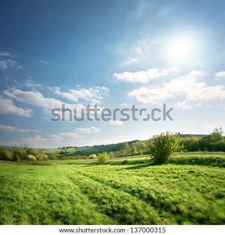 Country road on a spring green meadow