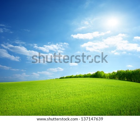 Similar – Image, Stock Photo Beautiful green field. Winter cereal and blue, cloudy autumn sky