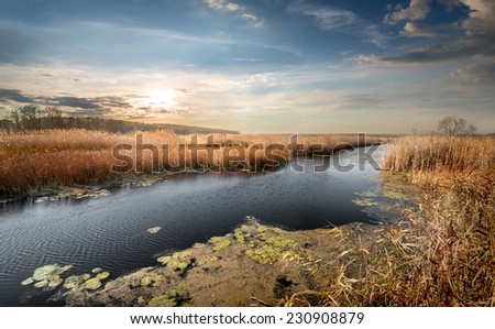 Autumn river and reeds and cloudy sky