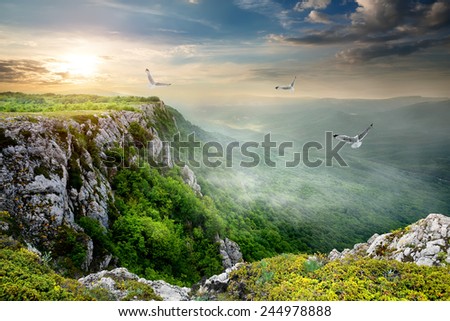 Birds over plateau at the cloudy sunset