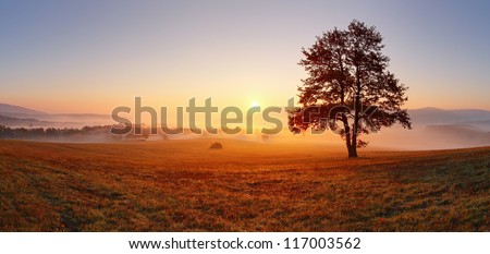 Similar – Image, Stock Photo Beautiful spring rural landscape with field, forest and a single house. Rural landscape. Spring landscape. Agricultural field in countryside