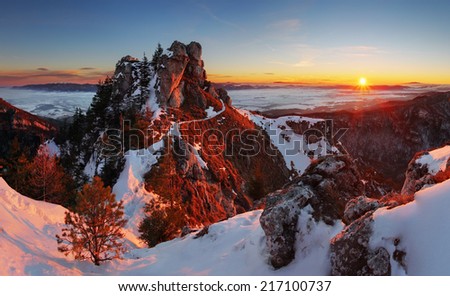 Winter sunset with forest in Slovakia from peak Ostra