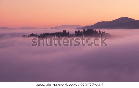 Similar – Image, Stock Photo Clouds and trees with extraordinary plastic effect
