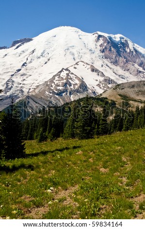 Mount Rainier on a beautiful sunny day behind a grassy wildflower meadow.