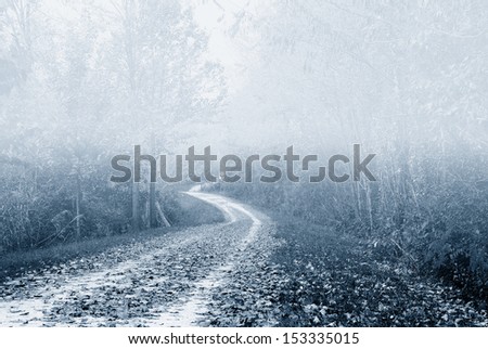 path in the park with heavy fog in winter
