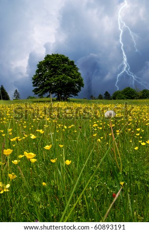 flowery meadow with twister and lightning