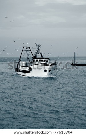 seagulls around the vessel at sea
