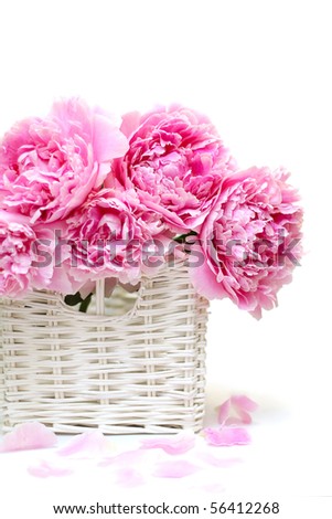 Romantic bouquet. Delicate pink peonies isolated on white background