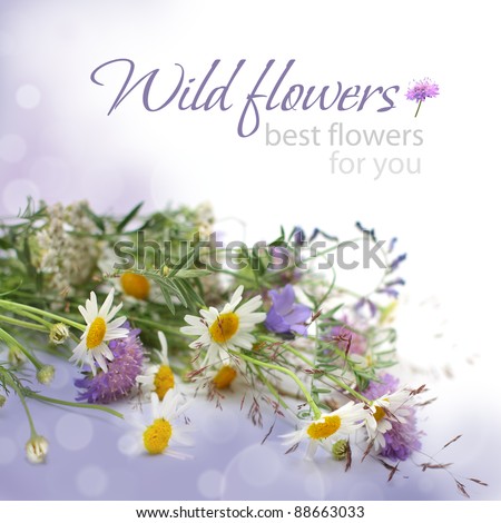 Floral background - flowers, birthday gift