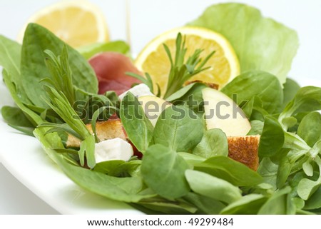 Salad on plate with croutons,tomatoes,field salad,tarragon and lemon