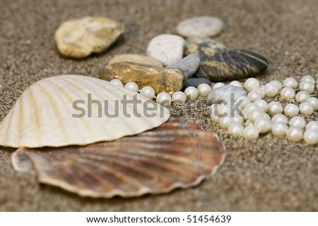 Sea shell with pearls on the sand