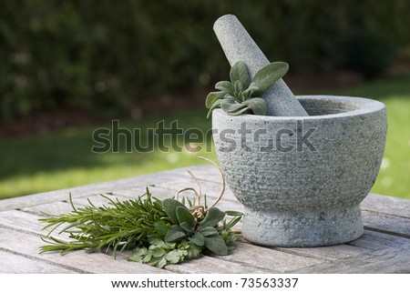 Pestle and mortar with various herbs outdoor