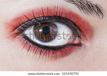 Macro picture of the eye of a woman