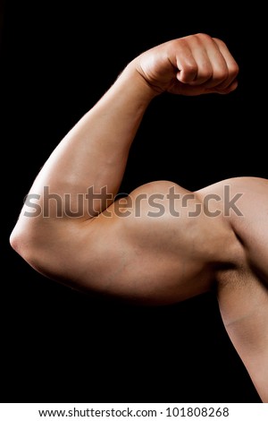 Bodybuilder Strong Biceps Athletic Muscle Man Arm, Sport Hand Fist ...