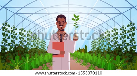 african american scientist examining plant sample in test tube modern glass greenhouse interior research science agriculture farming concept flat horizontal portrait vector illustration