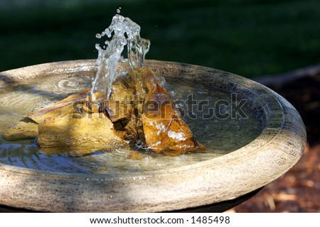 Soothing backyard fountain in sunlight and shade, with petrified wood and pool of water #3 (mid-focus point).