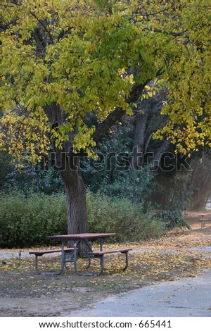 Picnic Bench in the Woods
