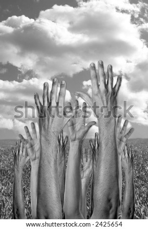 Many Hands Reaching to the Sky With Grass