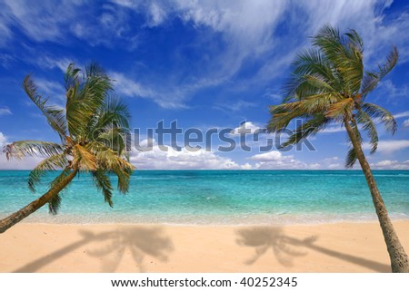 Image of tropical beach. There is no one viewable in the image. Horizontally framed shot.