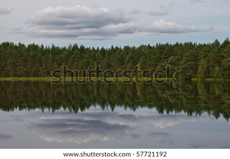 Mirror reflection of the forest on the lake