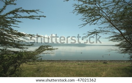 Just after dawn African horizon over Lake Nakuru with trees framing the picture