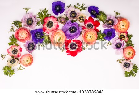 Foto Bild Hahnenfuß Hahnenfuß Blumen in verschiedenen Farben