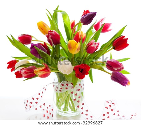 colorful tulips on the white background