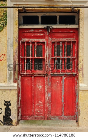 Red door and black cat