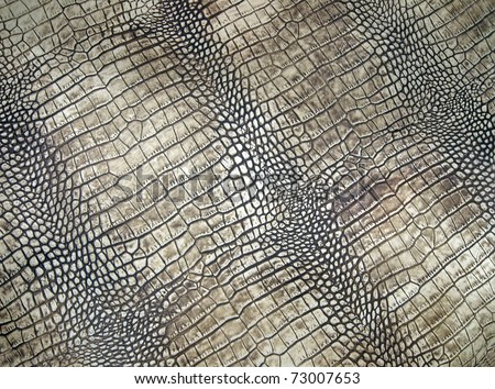 white crocodile skin pattern, abstract danger texture closeup.