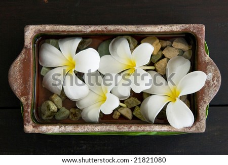 flowers at spa salon