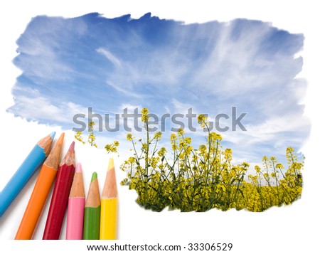 Pencil color drawing of landscape with blue sky and yellow fields