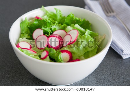Portion or a bowl of freshly cut green salad with radish