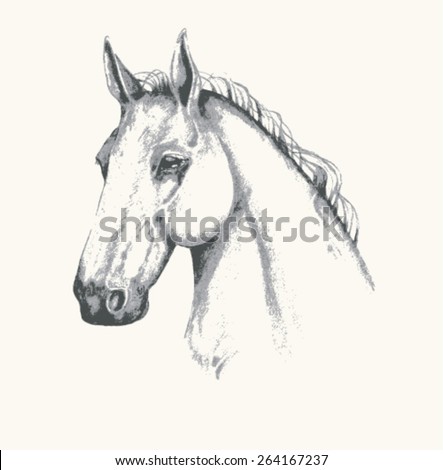  Pencil Drawing Of A Horse Stock Vector 264167237 Shutterstock