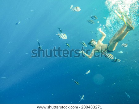 Man swimming under water on a background of beautiful marine fish