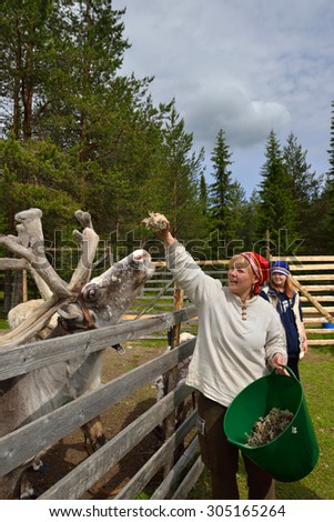 KUUSAMO,FINLAND - JULY 7,2015:Palosaari is farm where reindeer can be seen in paddock in summer and to see milking. Reindeer milk is one of most nutritious. After milking reindeer moss feed