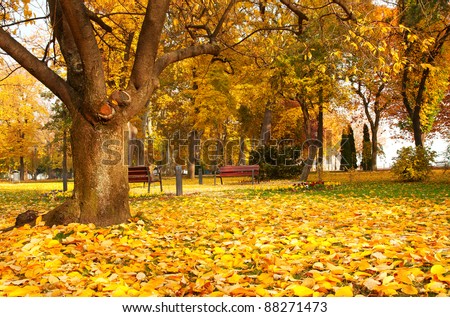 Beautiful autumn park in a rainy day at Lake Balaton,Hungary\
\
(Balatonfüred)
