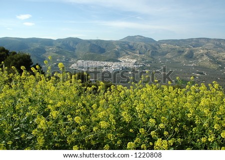a view of mattinata in southern italy from mount sareceno