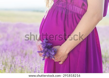 Belly of pregnant woman is wearing purple dress resting in the lavender field