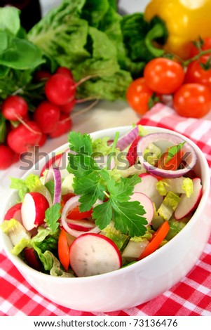 mixed salad with lettuce, tomato and radish