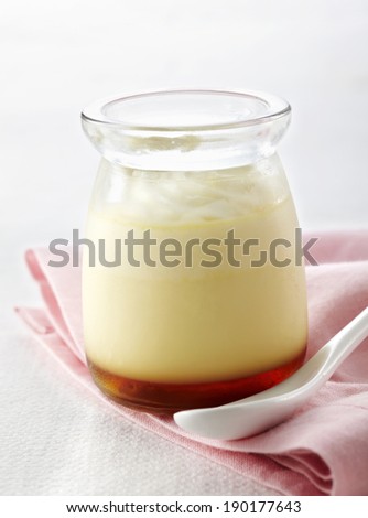 Fresh milk eggs pudding